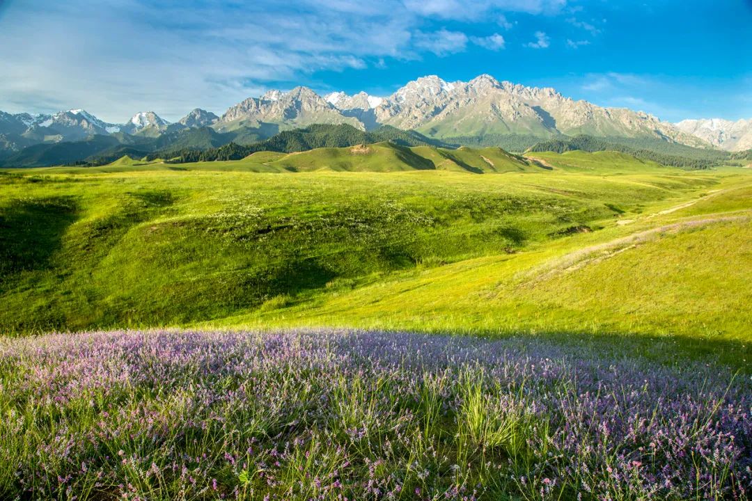乌鲁木齐 距乌鲁木齐1h，新发现一条荒废半个世纪的绝美天路，虐过独库，美过318！