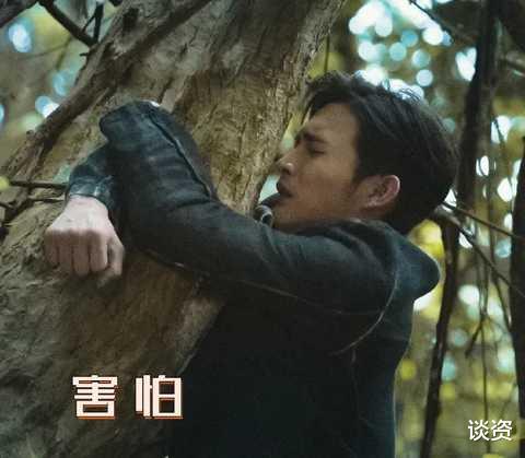 张彬彬|请景甜介绍张彬彬跟任国超认识