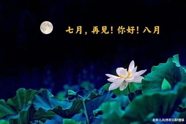 老伴儿风停夜泊聊情感|八月，愿你往事不回头，余生不将就