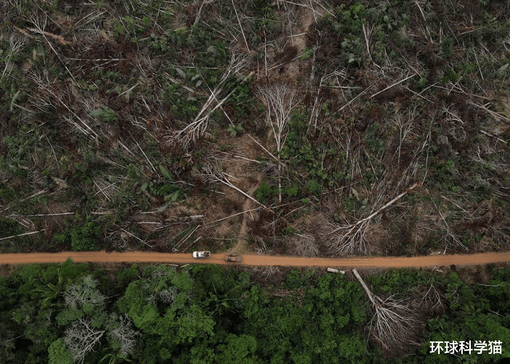 巴西|地球噩耗，巴西砍雨林创15年来新高，1年激增22%，中国让地球更绿