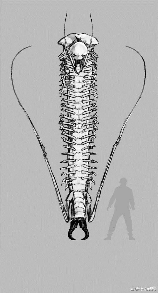 刘端端|《爱与怪物》末日生物图鉴 被化合物污染基因后 产生的暴戾虫兽