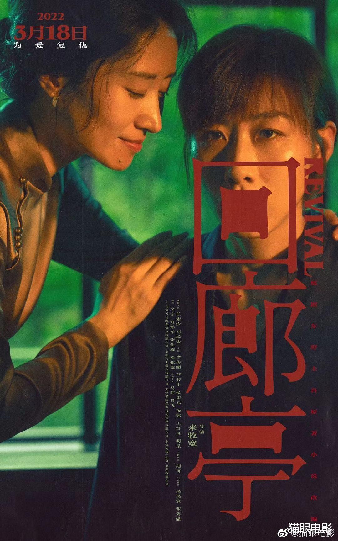 任素汐|又一部东野圭吾小说改编电影！任素汐演律师被遮嘴，海报全是细节