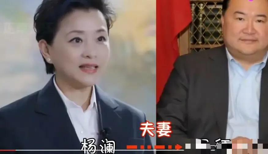 张嘉倪|央视主持人夫妻颜值，撒贝宁洋媳妇似芭比，白岩松老婆央视第一美。