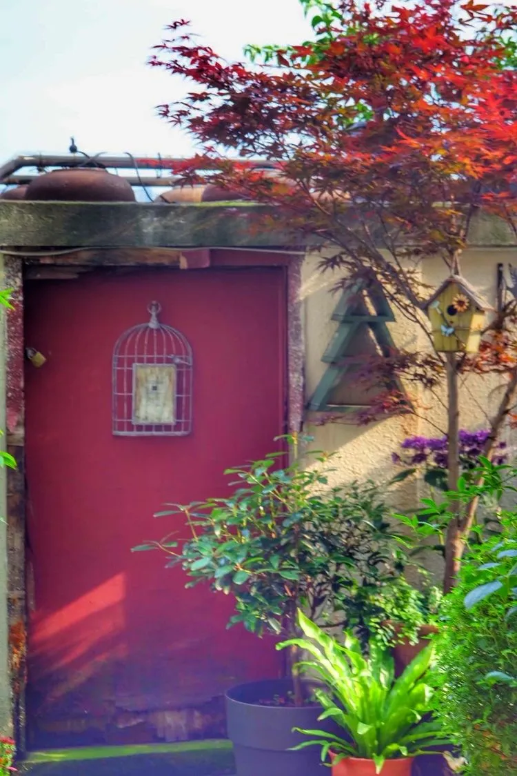 四楼80㎡荒废露台，DIY打造空中小花园，成了朋友们聚会的打卡地