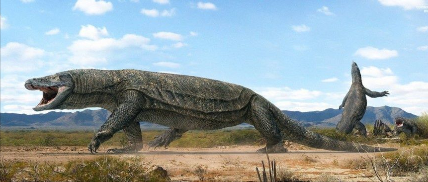 汽车|澳洲地大物博，两米大鸟，七米魔龙，汽车大巨兽，为何都灭绝了？