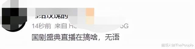 国剧盛典|国剧盛典红毯：刘涛僵硬假笑宋祖儿迟到黑脸，热依扎让人眼前一亮