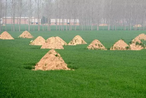 阴宅风水：形峦三十六绝