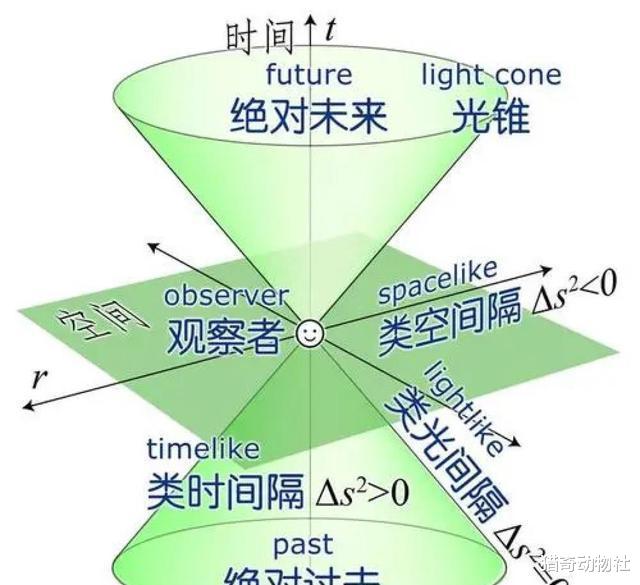 “蚂蚁二维、人类三维、猫头鹰四维”这个说法到底有无科学依据?我来告诉你答案