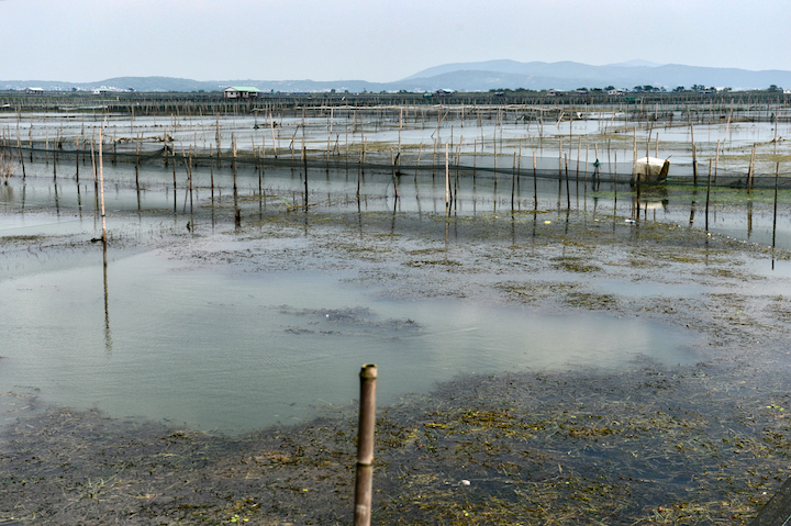 中秋节 兑成纸200元/斤，往年中秋大卖，如今被吃货嫌弃，到底咋了？