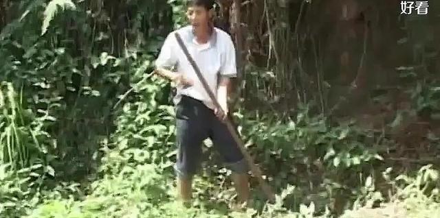 玉米|重庆发生一起事件，位置在重庆：竟发现了一条巨型蚯蚓！