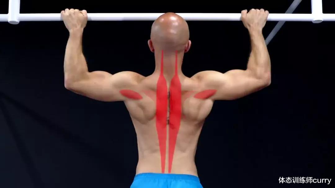 老年病|这么拉「引体向上」可能正在把背越练越废…