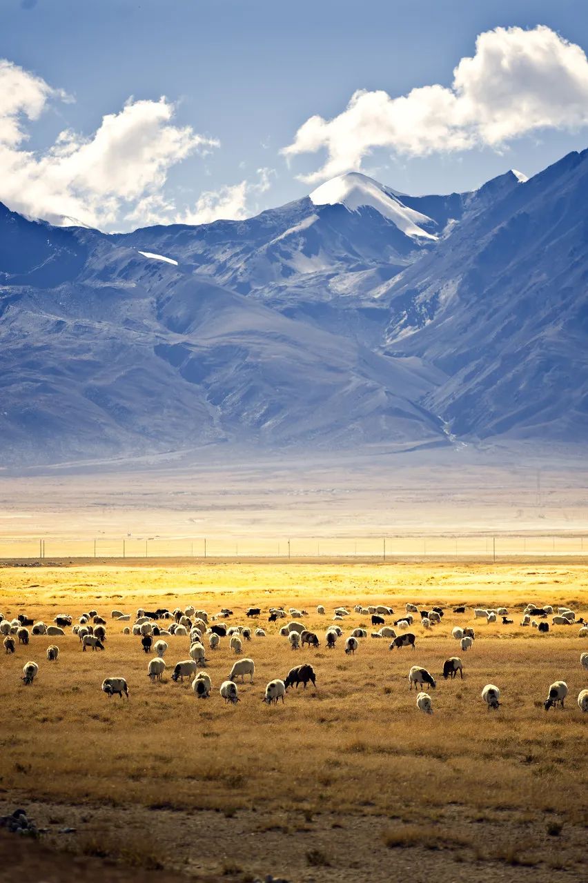 上海市 “中国最美的50个地方”榜单出炉!你打卡过几个?