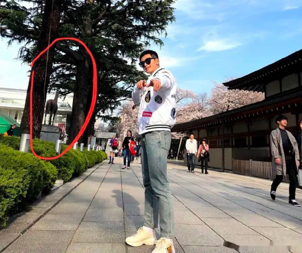 张哲瀚|他果然还是以这种方式凉了