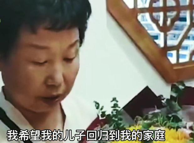 杜新枝|杜新枝在97年曾许愿：希望儿子回归家庭！一句话推翻3000字长文