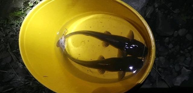 童书小窝|广州小伙因钓鱼太投入,浑然不觉被蛇咬,脚背血流不止,毒蛇?