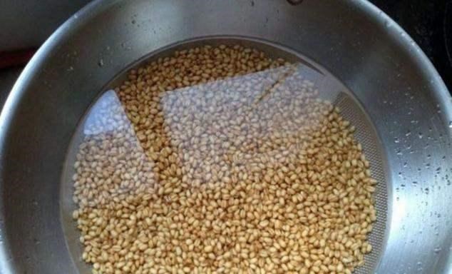 英国|为何不建议自己做窝料？难道仅仅因为不划算？