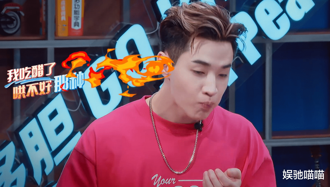 徐俐|刘宪华吃王一博的醋?张艺兴不想当“宝贝”却只能委屈认领,表情太好笑