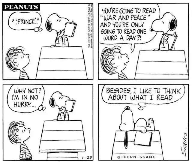 全球第一网红X的黑历史,被这9分片戳破了