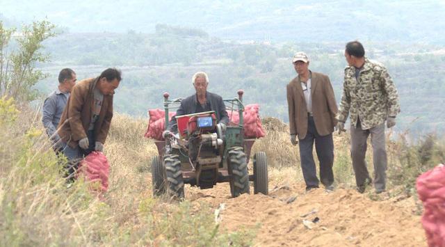 胶东在线 海阳郭城镇：对内挖潜+对外招引做大做强域内经济