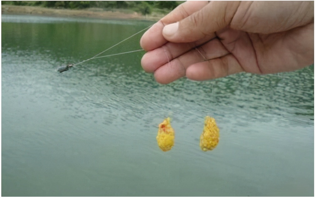 钓鱼|钓鲫鱼神法，包灵的搓饵大法！