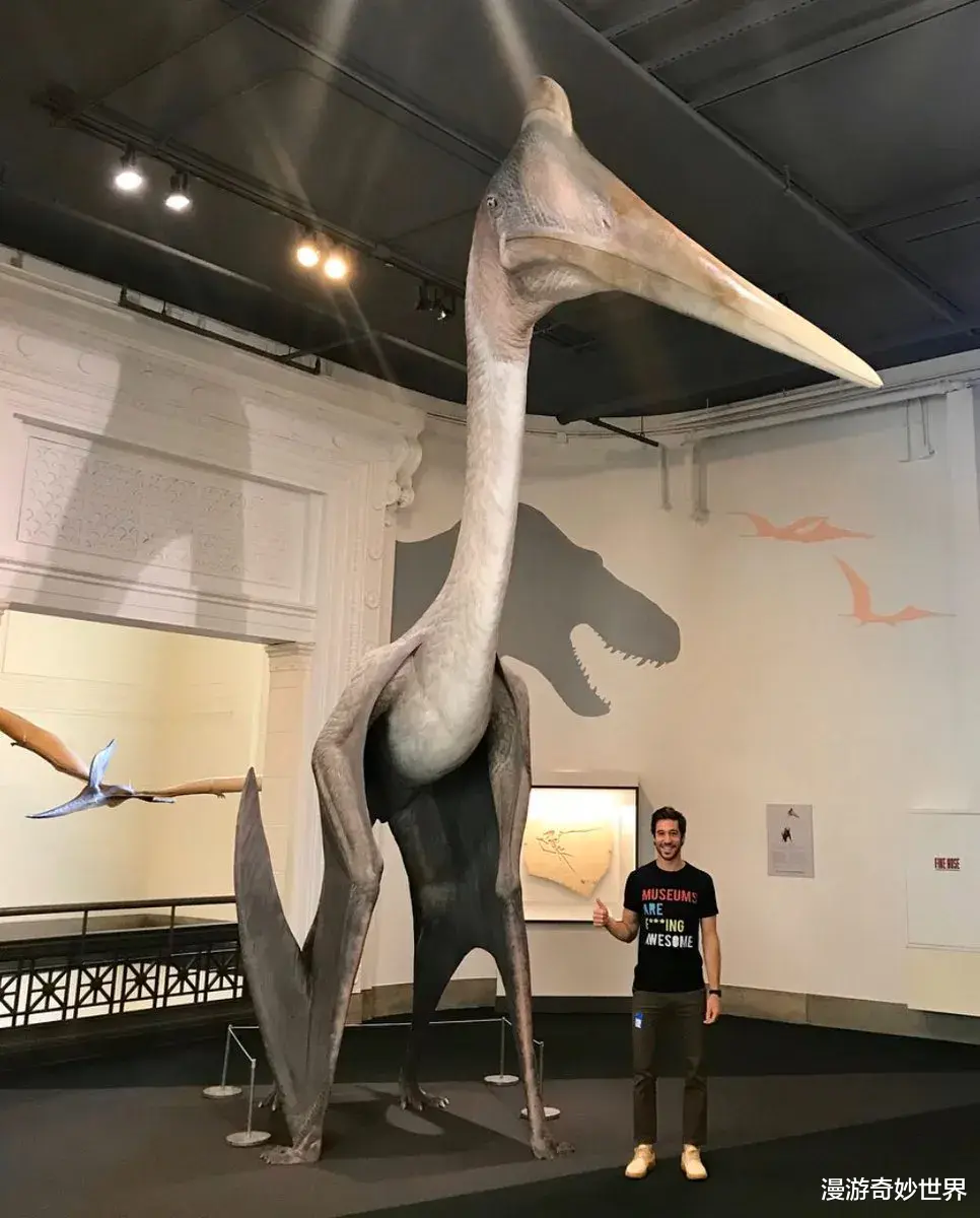 漫游奇妙世界|不比不知道，一只蝌蚪居然能长这么大