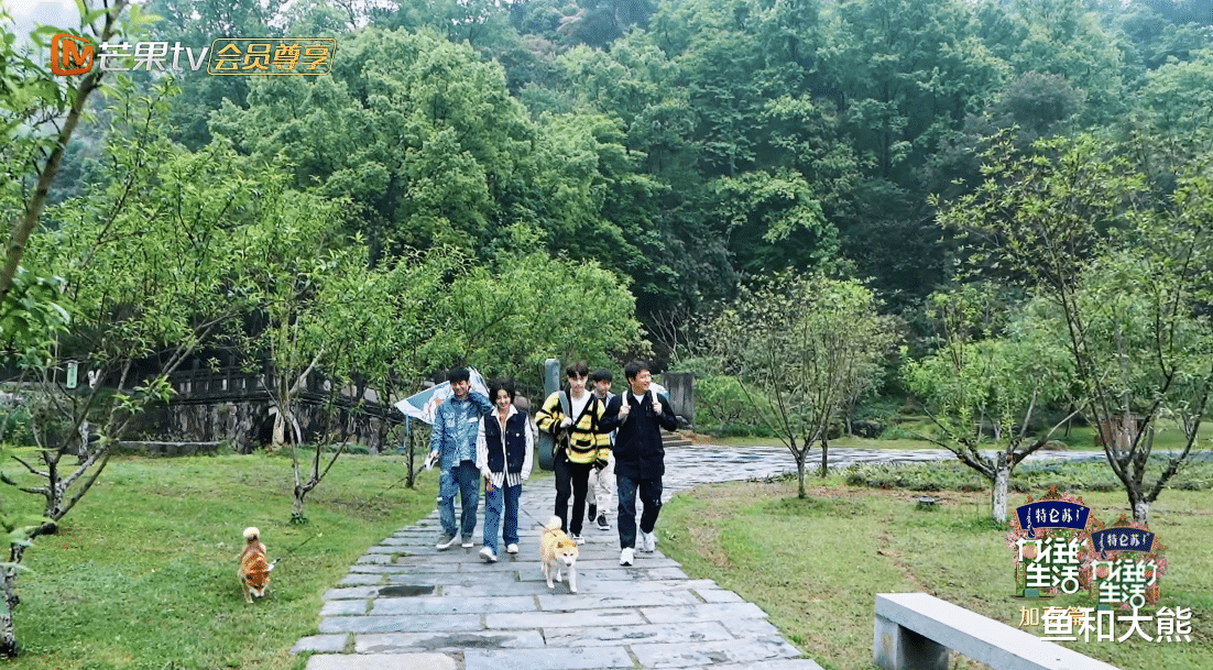 黄磊|《向往》播出八期，黄磊何炅首次让出主位，咖位的重要性不言而喻