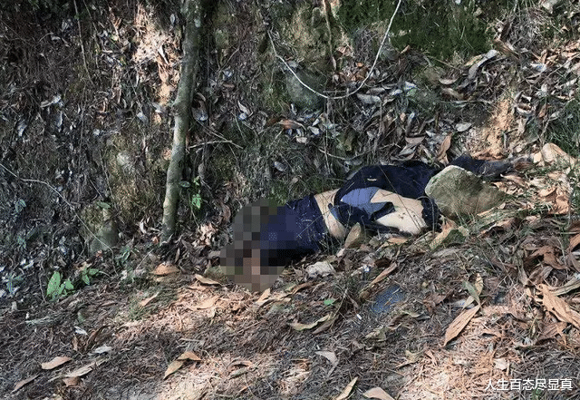 汽车 飙车党的末路，女子发生车祸后被撞飞挂在树上，摩托车当场散架