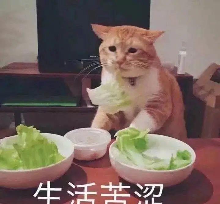 茶苏苏烘焙日记|奶茶店花钱都想学的配方!在家有口锅就能做,超滑超duang~