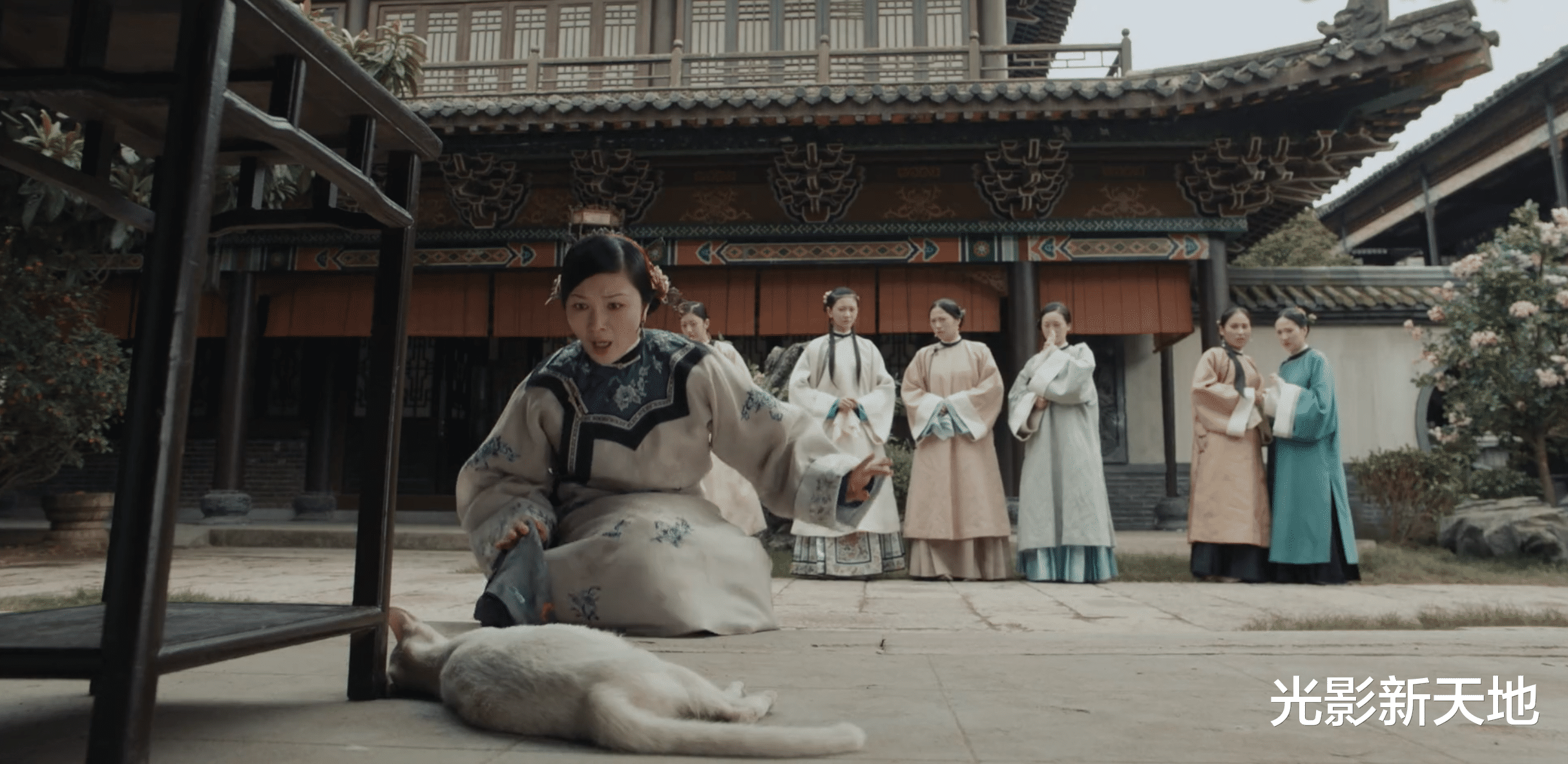 当家主母|《当家主母》评分跌至3.0，再发视频否认电死小猫，已报案追责