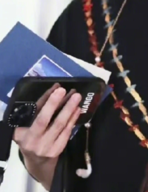 王鸥|王鸥何九华恋情坐实？用情侣手机壳明目张胆，互刻对方名字拼音