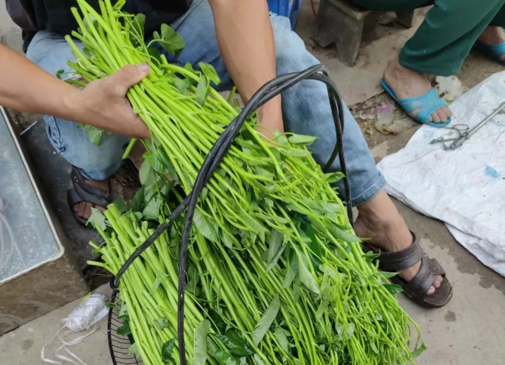 医养库 含“寄生虫”最多的3种蔬菜，没营养还贵，很多人还天天吃