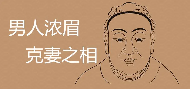 诚然情感之事 男人眉毛又粗又浓克妻可信吗 有哪些影响
