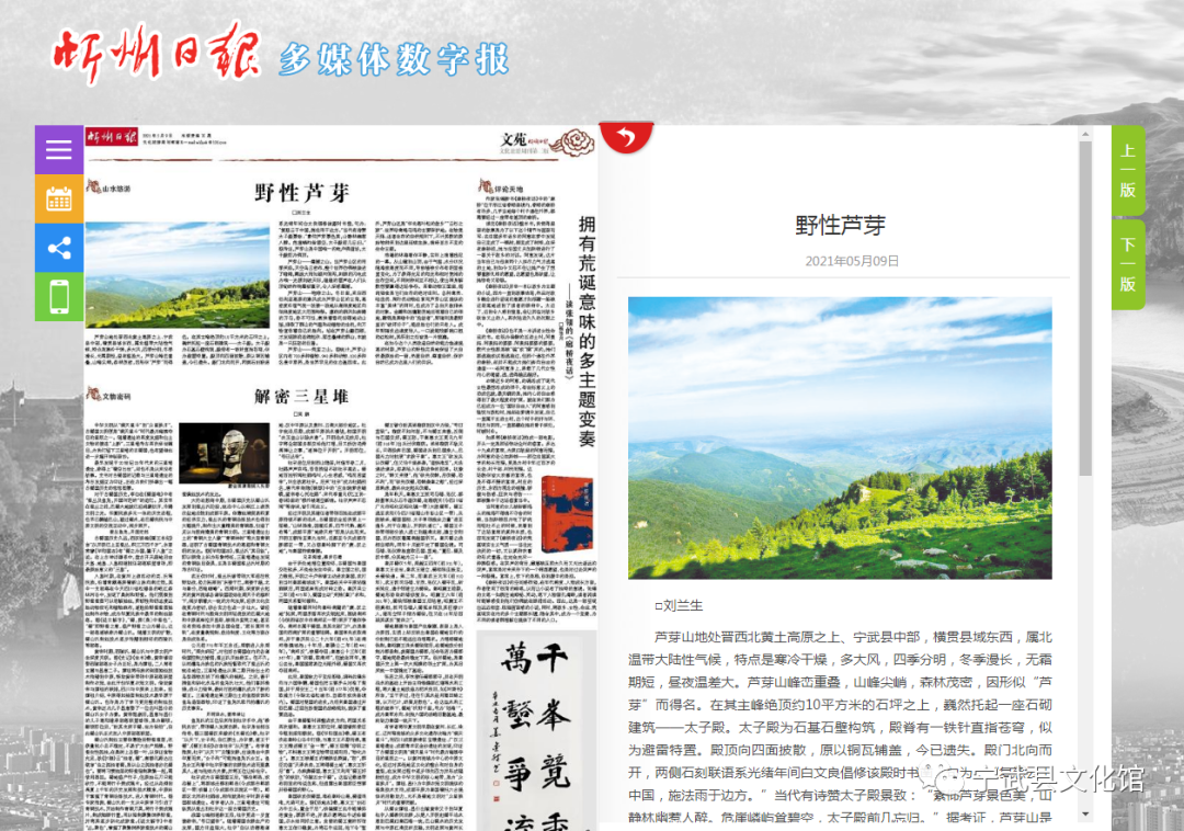 宁武本地通 宁武文苑 野性芦芽