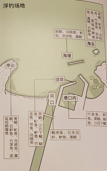 日本|【 日本鲫鱼钓 】浮游矶钓主要目标和场所，日本专业矶钓书籍