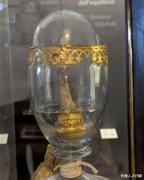 |27张活久见的照片，看完涨姿势了