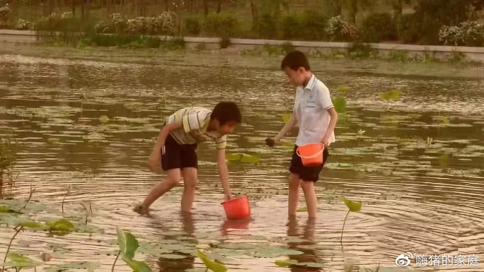 嗨猪的家庭|看完这组30年前的暑假偷拍照,我悄悄换掉了儿子的假期计划表
