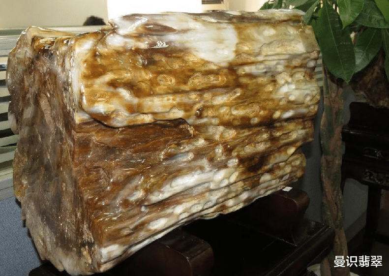 男子山上捡到枯木,剥开皮壳里面竟是“翡翠”!专家:珍贵罕见