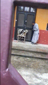 书尽心生|搞笑GIF：不怕神一样的对手，就怕猪一样的队友！