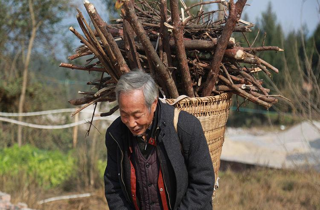 一头小居居 农民花光积蓄给儿女在城市买房，到老落得无家可归，打的是谁的脸