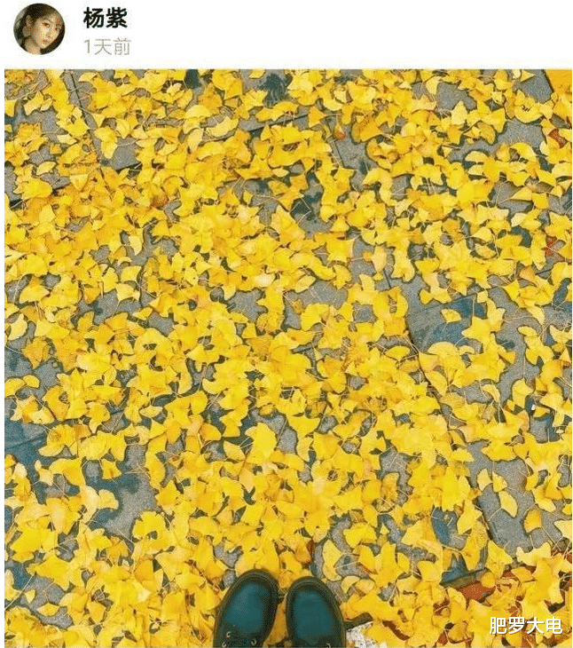 杨紫|杨紫王俊凯疑似恋情曝光?双方发同款文案秀恩爱,两人去年就在一起了