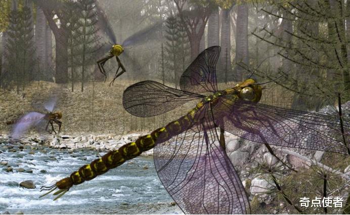 蜈蚣 地球将重回“巨虫时代”？澳洲出现巨型蜈蚣，每年吃掉3700多只海鸟