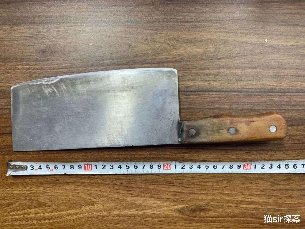 怀疑妻子出轨将其砍杀后逃亡19年,被抓时已成老板并获岳母谅解,陕西该男子结果如何?