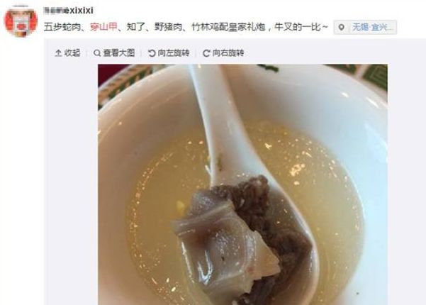 白色污染 新冠爆发超2亿人感染，438万人死亡：人类消失的日子，水清了，天蓝了，动物开始了一场狂欢