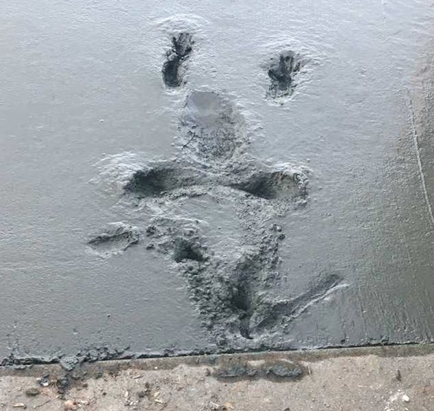 微趣图|47张“倒霉又搞笑”的图片,这些人上辈子是毁灭了银河系吗?