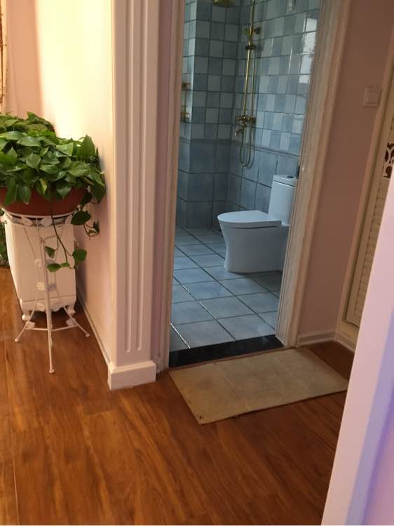 历时半年,老婆用50多万将房子装修成宫殿,我只是心疼我的钱!