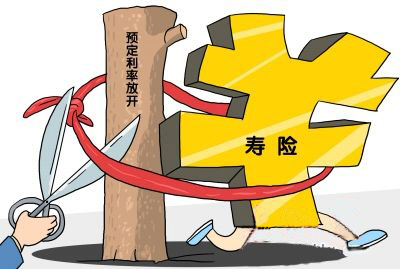 银行|为什么保险，有的贵有的便宜？