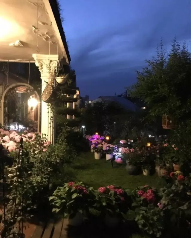 宁波|150㎡私家别墅庭院，打造花开满园的自然舒适小花园，太美了