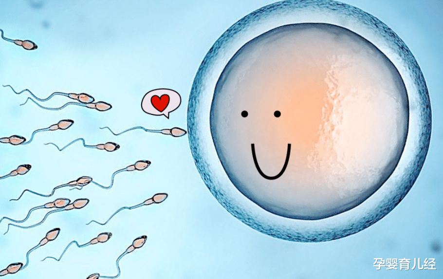 孕婴育儿经|早生孩子和晚生孩子差别大，要面对6个现实，你会如何选择？