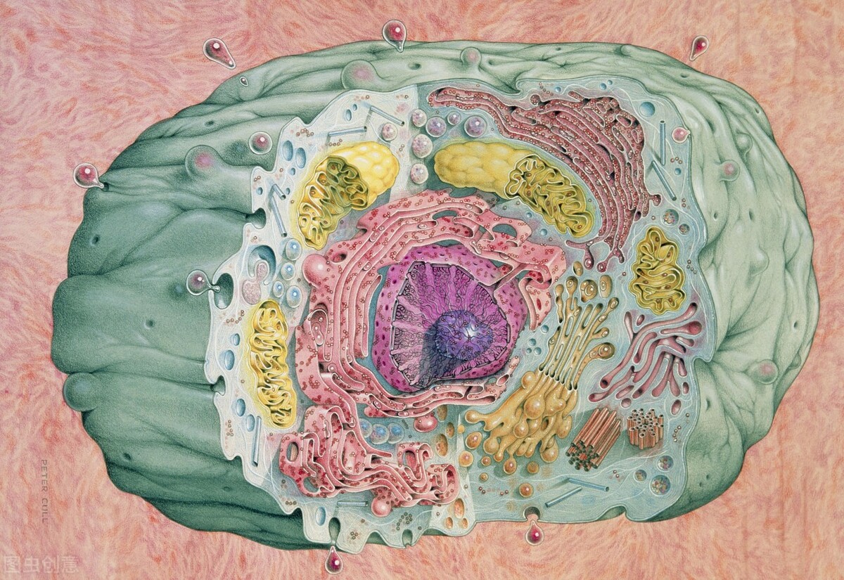 核糖核酸 【CNS大盘点】一周内发表4篇Science，1篇Nature，中国学者大爆发