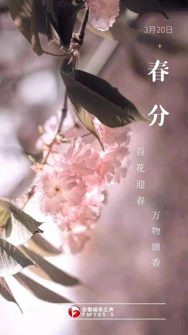 安徽城市之声 今日春分